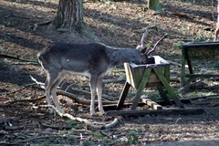 Killikus&reg; Fotographie